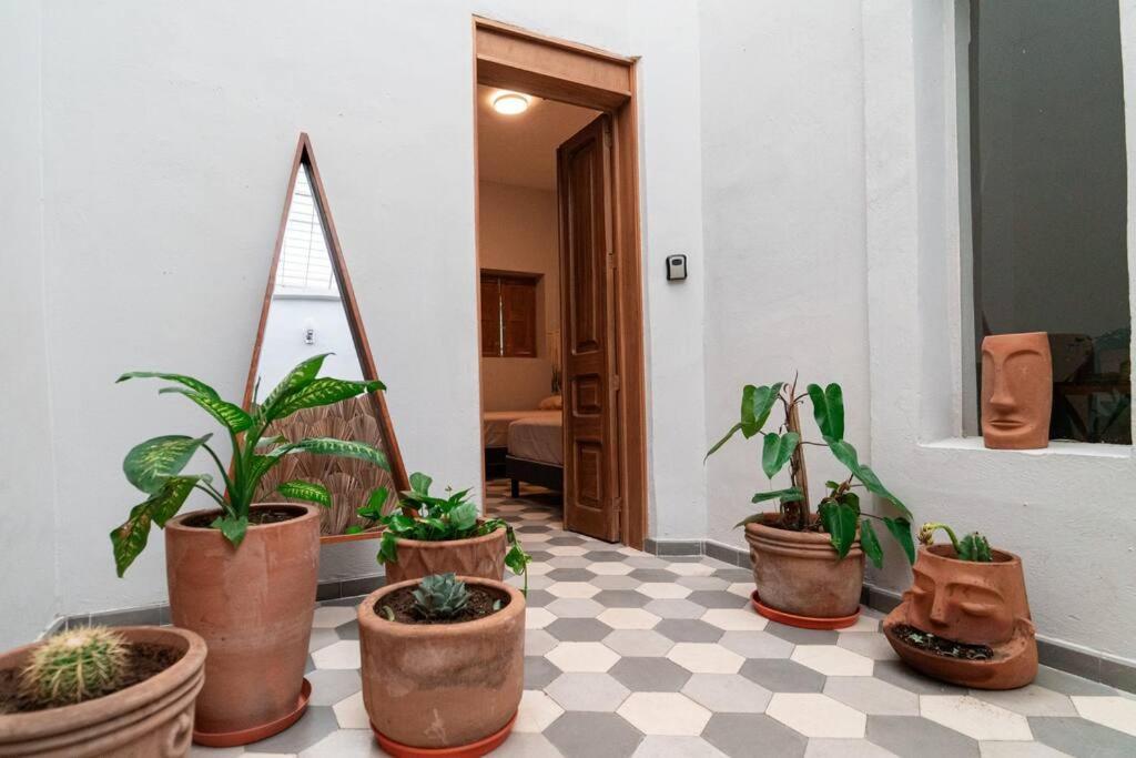 Casa Del Desierto Villa Guadalajara Exterior photo